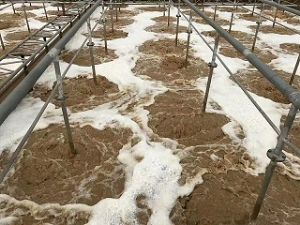 點擊查看詳細信息<br>標題：旋流式可提升曝氣器 閱讀次數：5635